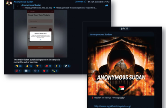 Two Sudanese brothers accused of launching a harmful collection of DDoS assaults