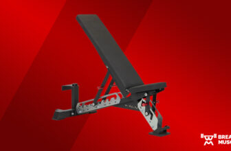 Titan Sequence Adjustable Bench Assessment (2024)