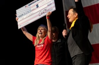 Elon Musk Is Attempting to Be the MrBeast of Politics