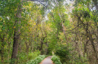 The Little Issues E-newsletter #435 – Life, laughter, and many nice meals!