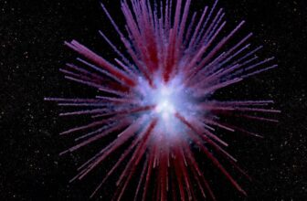 A Mysterious 900-Yr-Outdated Nebula Will get Mapped in Beautiful Element