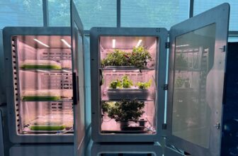 Scientists Develop Crops in Close to-Whole Darkness Because of New ‘Electro-Agriculture’ Approach