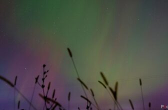 Learn how to use Photoshop AI’s new distraction elimination instrument