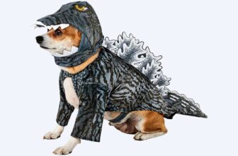 10 Pre-Made Halloween Costumes That Are Truly Cool