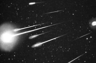 How one can See November’s Fiery Meteor Show