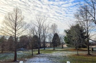 The Little Issues E-newsletter #447 – Life, laughter, and many nice meals!