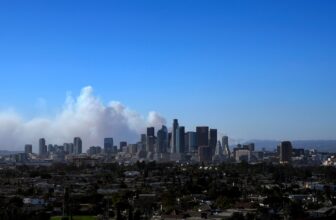 Hundreds Evacuate in L.A. As Wildfires and Excessive Wind Hit Southern California