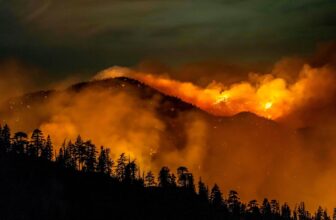 Airbnb Gives Free Housing to LA Wildfire Victims