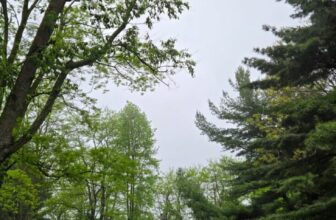 The Little Issues Publication #469 – Life, laughter, and plenty of nice meals!