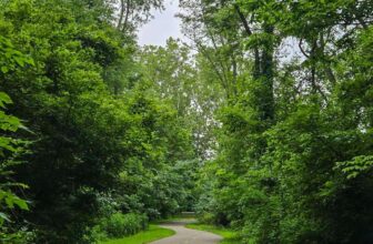 The Little Issues Publication #477 – Life, laughter, and plenty of nice meals!