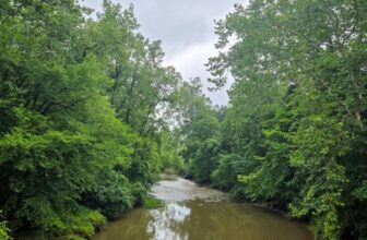 The Little Issues Publication #480 – Life, laughter, and many nice meals!